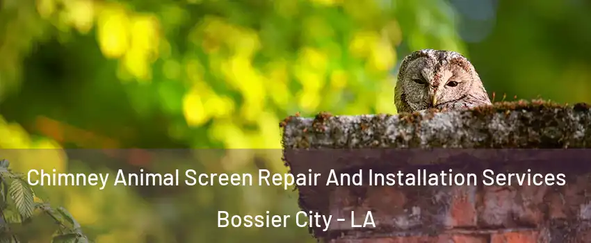  Chimney Animal Screen Repair And Installation Services Bossier City - LA