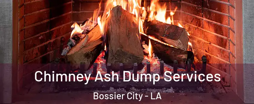  Chimney Ash Dump Services Bossier City - LA