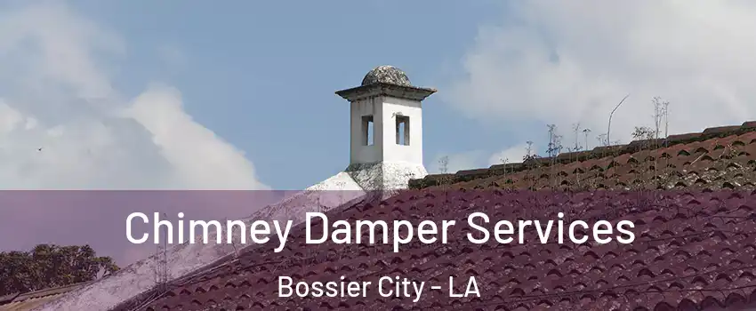  Chimney Damper Services Bossier City - LA