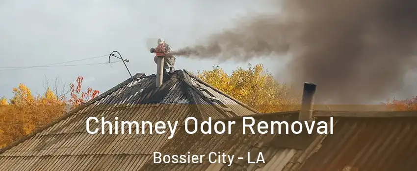  Chimney Odor Removal Bossier City - LA