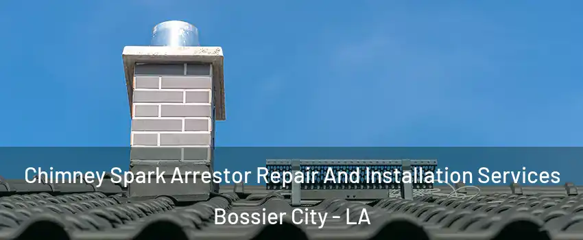  Chimney Spark Arrestor Repair And Installation Services Bossier City - LA