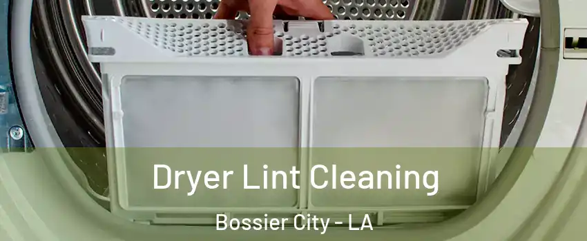  Dryer Lint Cleaning Bossier City - LA