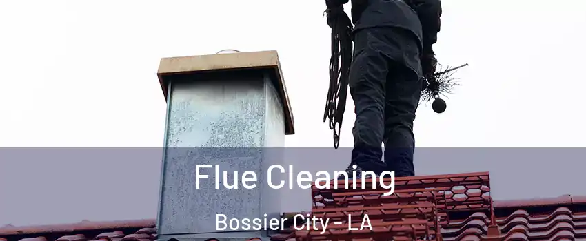  Flue Cleaning Bossier City - LA