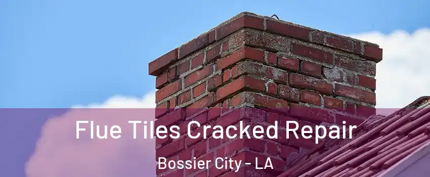  Flue Tiles Cracked Repair Bossier City - LA