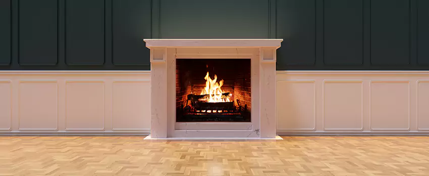 Napoleon Electric Fireplaces Inspection Service in Bossier City, Louisiana