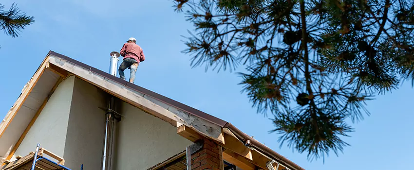Birds Removal Contractors from Chimney in Bossier City, LA