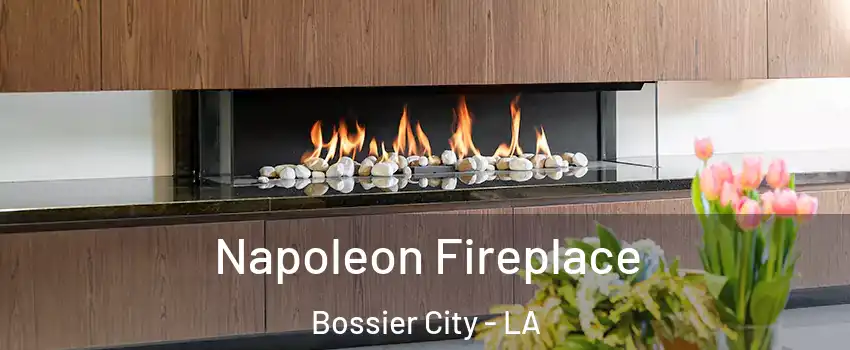  Napoleon Fireplace Bossier City - LA